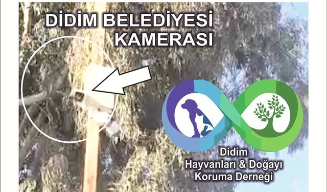 DİDİM BELEDİYESİ VE DİHAD ARA­SIN­DA “ÇEVRE” VE “GÜ­VENLİK KA­ME­RA­SI” KRİZİ