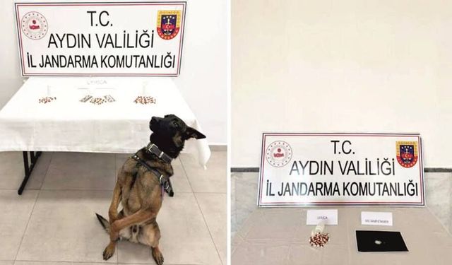 Aydın’da 10 İlçede “Tor­ba­cı” Ope­ras­yo­nu: 10 Tu­tuk­la­ma