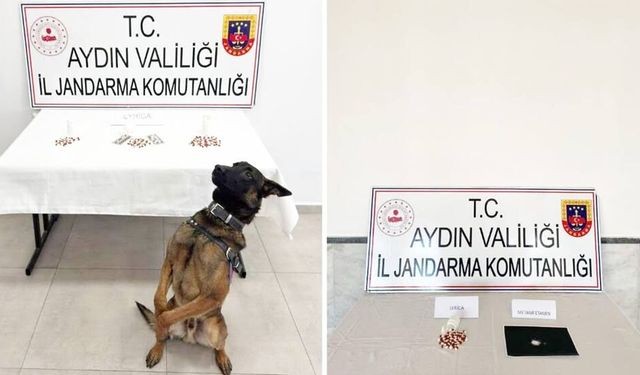 Aydın’da 10 İlçede Tor­ba­cı Ope­ras­yo­nu : 10 Tu­tuk­la­ma