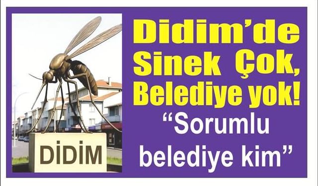 Didim’de Sinek Çok, Belediye yok!  “Sorumluluk hangi belediyede?”