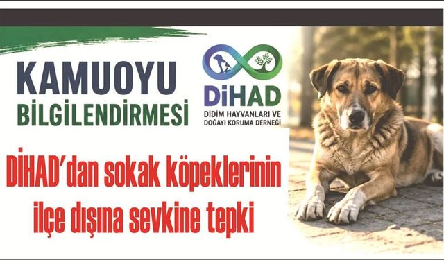DİHAD'dan sokak kö­pek­le­ri­nin ilçe dı­şı­na sev­ki­ne tepki