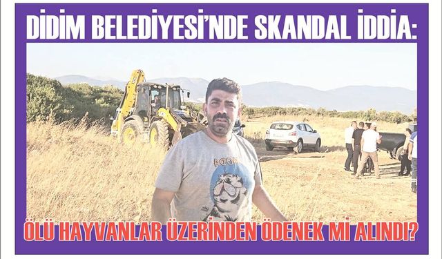 DİDİM BELEDİYESİ’NDE SKAN­DAL İDDİA: ÖLÜ HAY­VAN­LAR ÜZERİNDEN ÖDE­NEK Mİ ALIN­DI?
