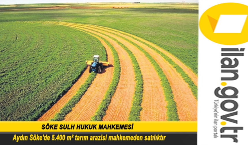 SÖKE SULH HUKUK MAHKEMESİ