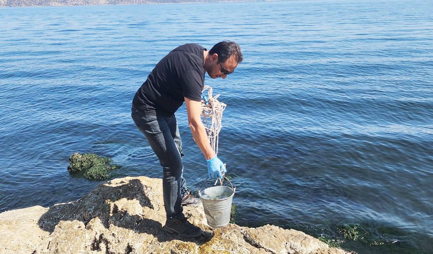 Su ürünlerinin korunması için numuneler alındı