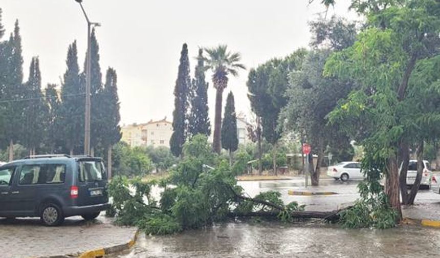 Didim’de Şid­det­li Fır­tı­na Ha­ya­tı Felç Etti: