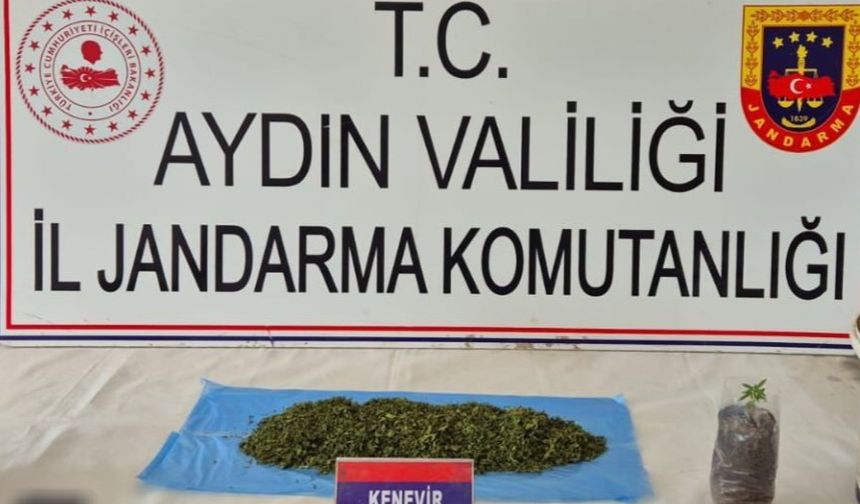 Aydın’da  Uyuş­tu­ru­cu  Ope­ras­yo­nu:  36 Şüp­he­li  Gö­zal­tı­na  Alın­dı