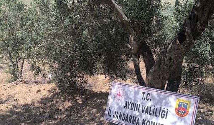 Didim'de Sit Ala­nın­da Kaçak Kazı Ope­ras­yo­nu: 6 Kişi Su­çüs­tü Ya­ka­lan­dı