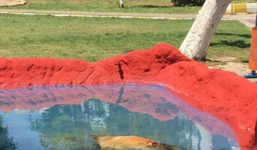 Didim Kül­tür Parkı’nda Teh­li­ke: Elekt­rik Akı­mı­na Ka­pı­lan Kedi Ha­ya­tı­nı Kay­bet­ti