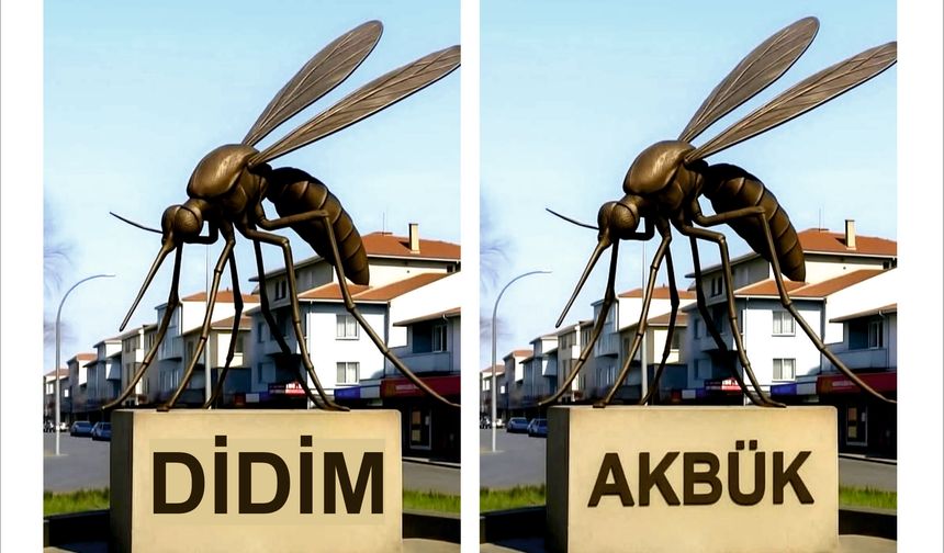 Didim’i Sinek Bastı!