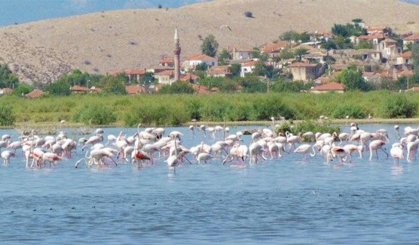 Bafa Gölü mer­cek al­tın­da: Kaçak av­lan­ma­ya geçit yok