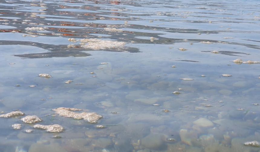 Akbük’te Bit­me­yen Çile: Deniz Kir­li­li­ği ve Yet­ki­li­le­rin Ses­siz­li­ği