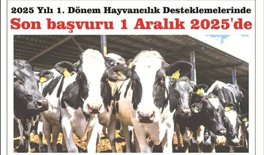 2025 Yılı 1. Dönem Hay­van­cı­lık Des­tek­le­me­le­rin­de Son Baş­vu­ru: 1 Ara­lık 2025'de