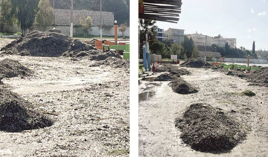 Ma­vi­şe­hir Sa­hip­siz mi? Va­tan­daş So­ru­yor, Be­le­di­ye Su­su­yor...