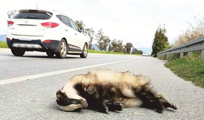 Söke–Didim Ka­ra­yo­lu­na Acil Önlem Çağ­rı­sı