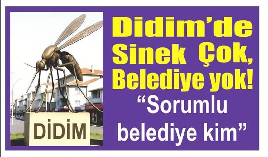 Didim’de Sinek Çok, Belediye yok!  “Sorumluluk hangi belediyede”
