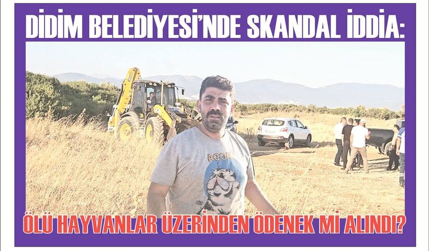 DİDİM BELEDİYESİ’NDE SKAN­DAL İDDİA: ÖLÜ HAY­VAN­LAR ÜZERİNDEN ÖDE­NEK Mİ ALIN­DI?