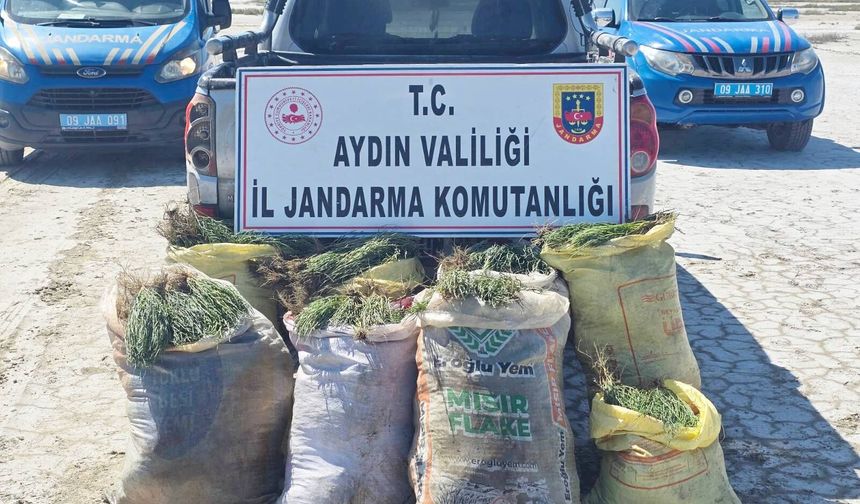 Didim’de Doğal Ko­ru­ma Alan­la­rın­da Kaçak Bitki Top­la­yan 8 Ki­şi­ye Jan­dar­ma Ope­ras­yo­nu