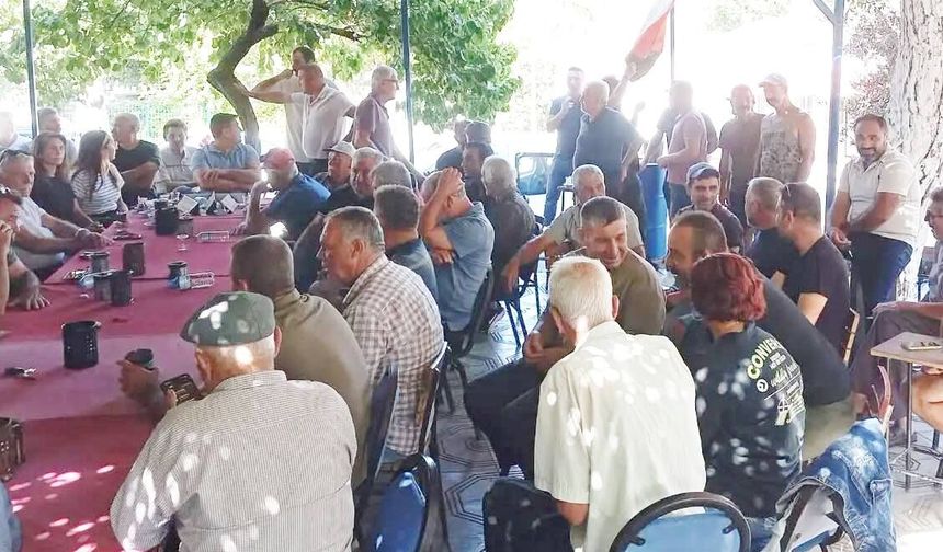 AKKÖY’DE FLAŞ KARAR: ZEYTİN HA­SA­DI­NA 10 GÜN ARA