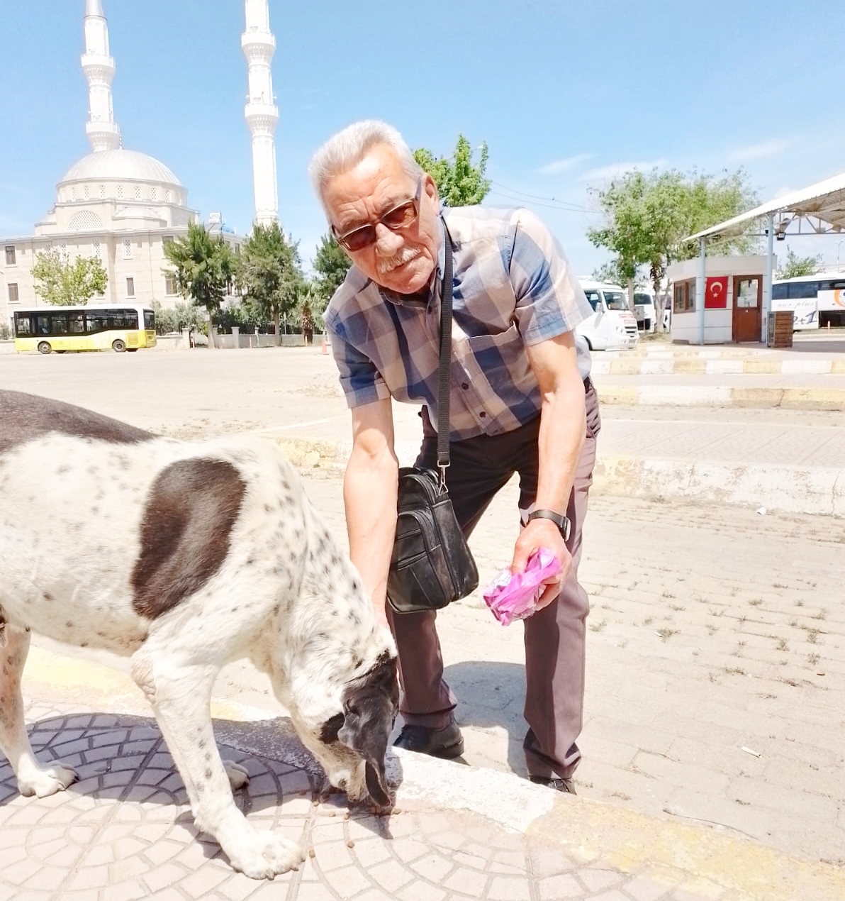 268b5a54-6462-486d-990c-1eb76827901e