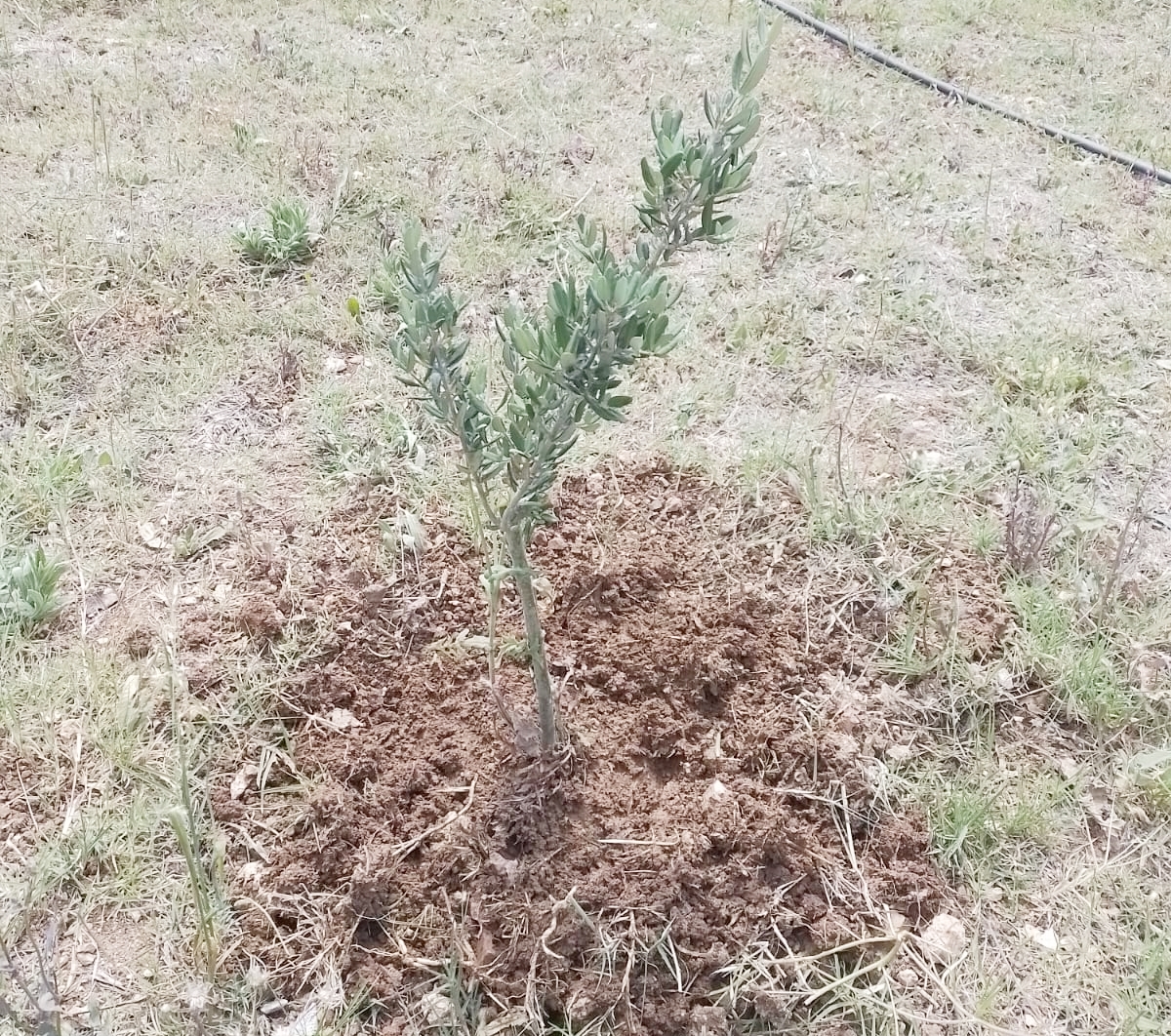 df3c6296-3cde-4b71-91a0-2c5f7a2ea45e