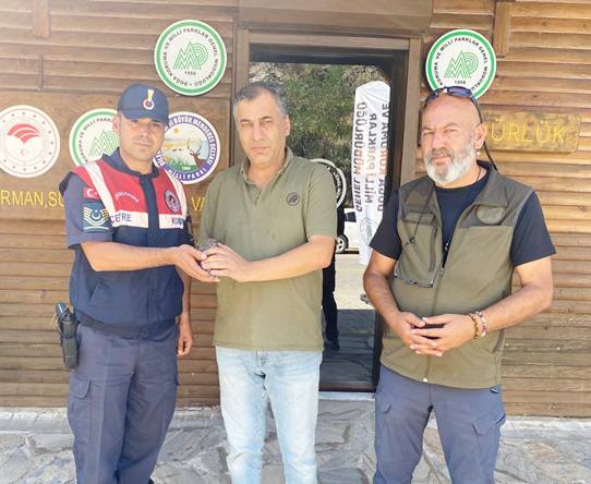 Yaralı Baykuş Kuşadası 3