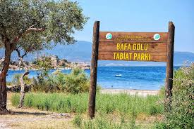 Bafa (1)