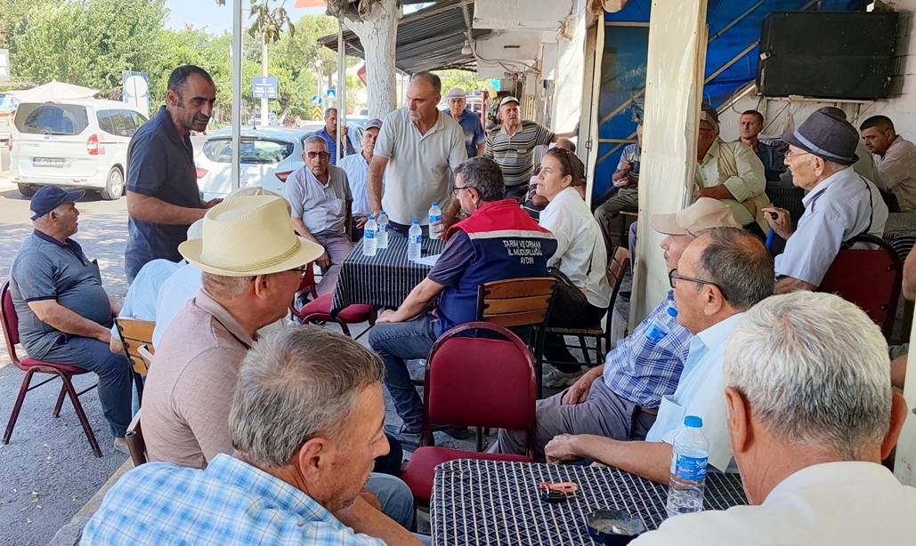 542754965 1874878753373724 3180401418909480684 N