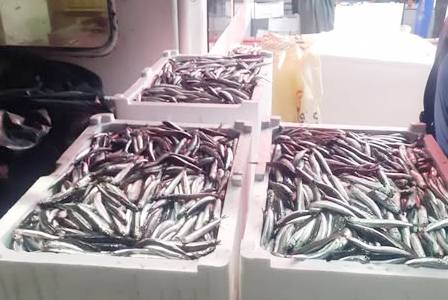 548271084 1884733559054910 5787129567166824801 N