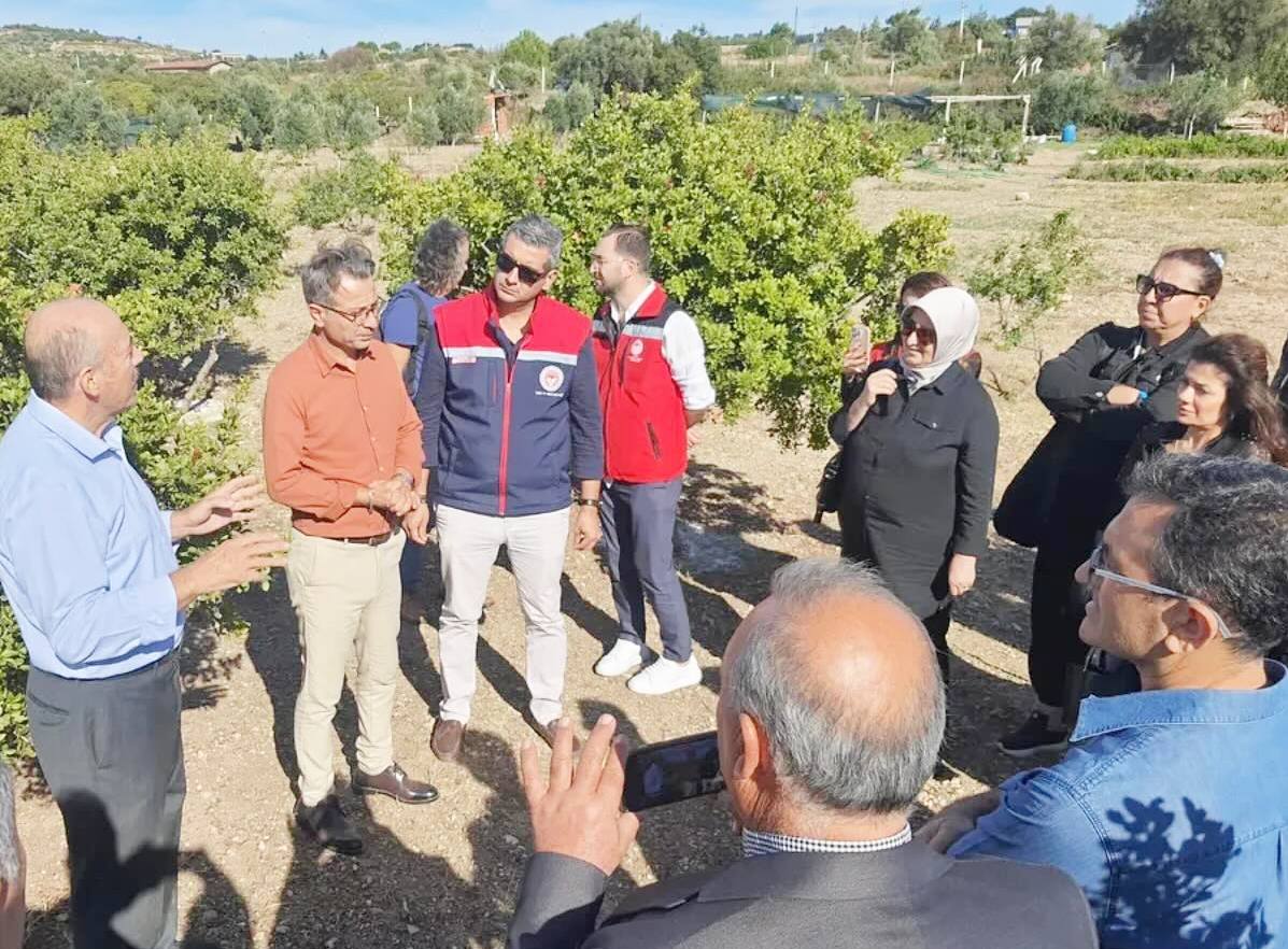 564099764 18104869765720339 6555781331786254401 N-1