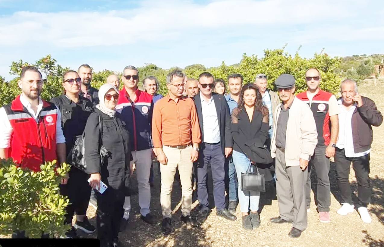 564993424 18104869792720339 2557904578838336057 N