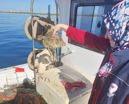 574571230 1922617328599866 4831715997961125543 N