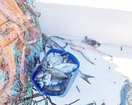 574572351 1922617308599868 8889343457652591917 N