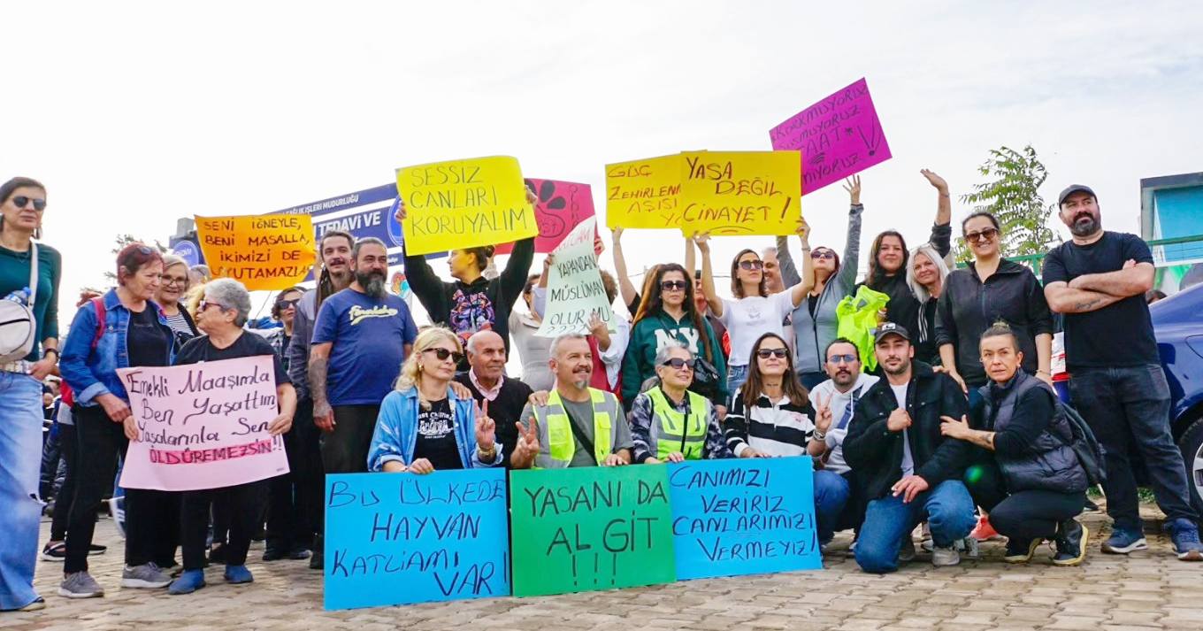 586207522 26115533351370160 3293849465184197657 N