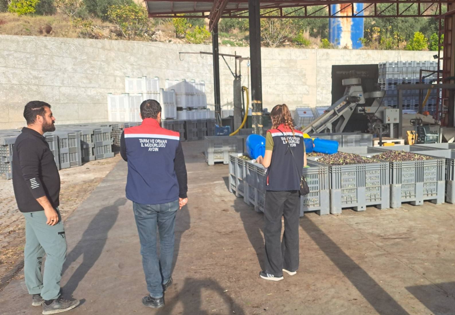 586305263 1941205550074377 2841809948351005010 N