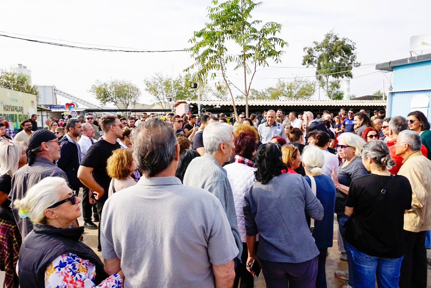 586314041 26115533341370161 1628741250787194075 N