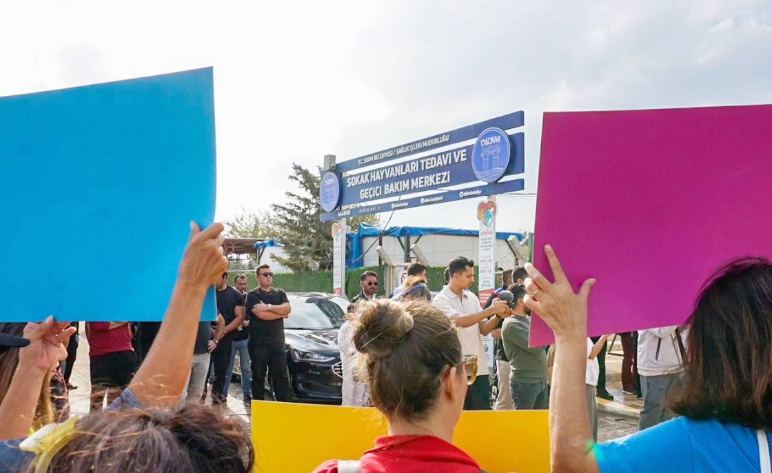 588399365 26115533364703492 5000069606337606465 N