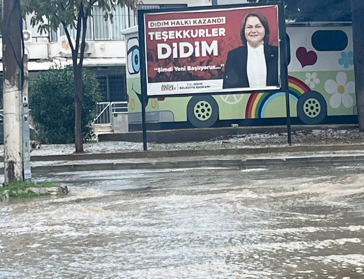 758Faff8 Cd0A 4455 9F74 075Bb01A138E