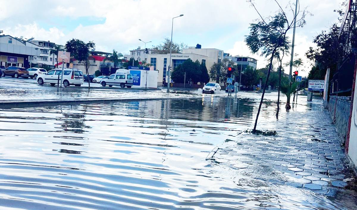 80A2535A Bacd 496D 950E C2E6C073Cb5B