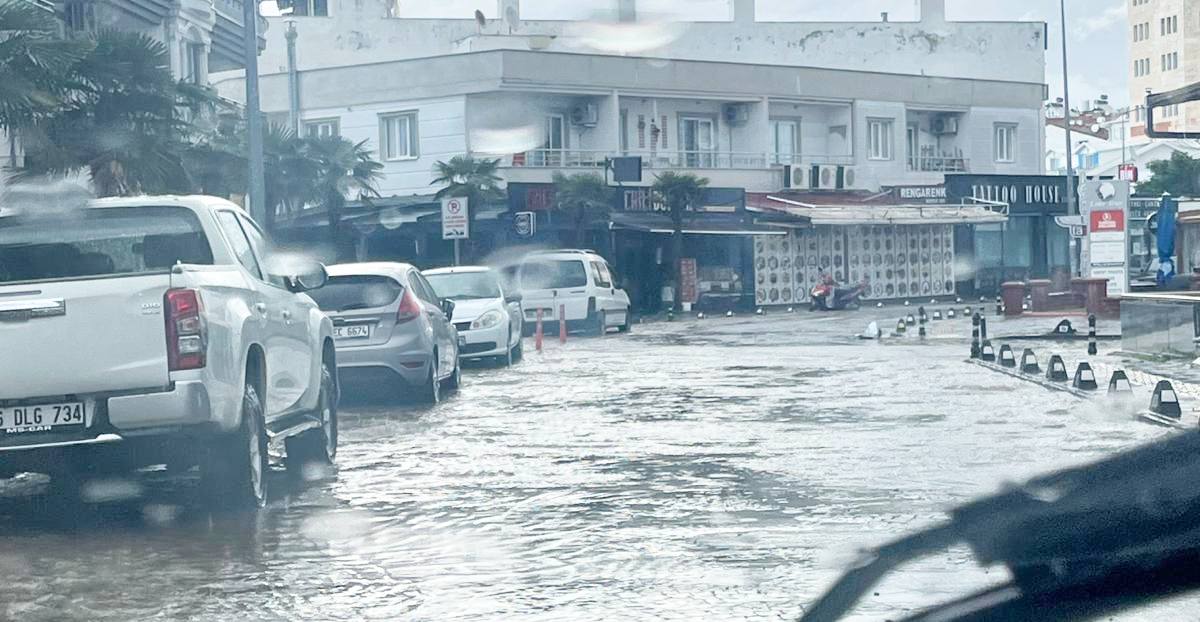 8A70Aeb2 Acd3 495B B110 Acf7A601D55B