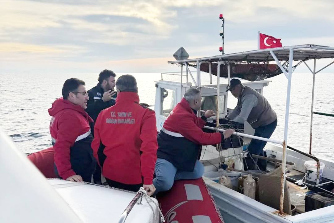 589682038 18336813172235563 3374062107341456532 N