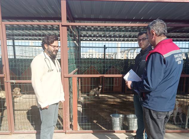 595068354 1956222381906027 4778971007543342374 N