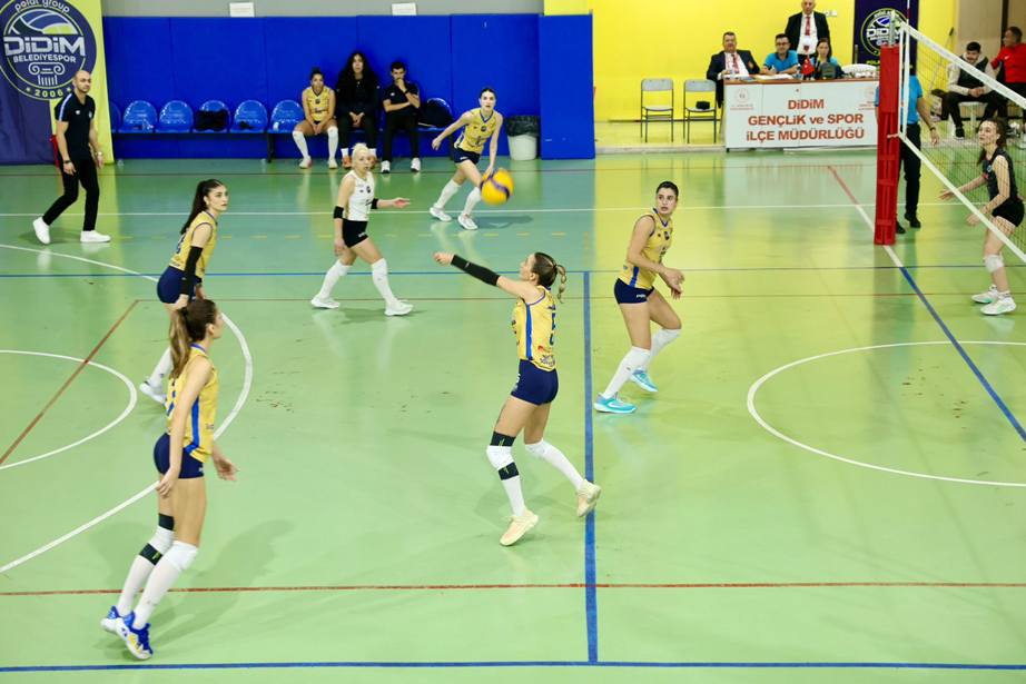 489D0F87 7Bd1 463B 88C3 660227F0Dfa9