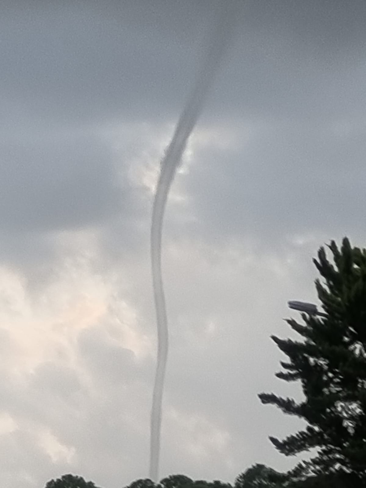 F6C832Bf B11A 4201 91A0 4279E1714913