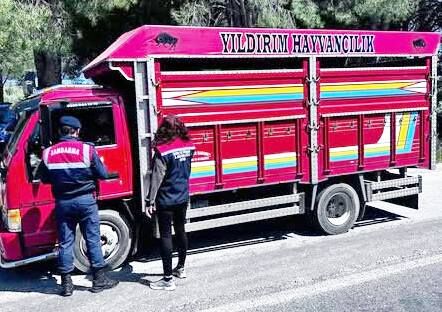Mavi̇ Di̇di̇m 3-5