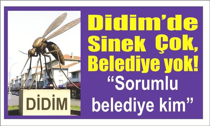 Didim’de Sinek Çok, Belediye yok! “Sorumluluk hangi belediyede?”