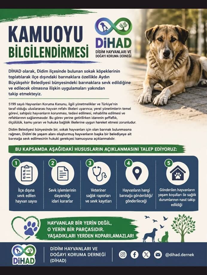 Diha-1