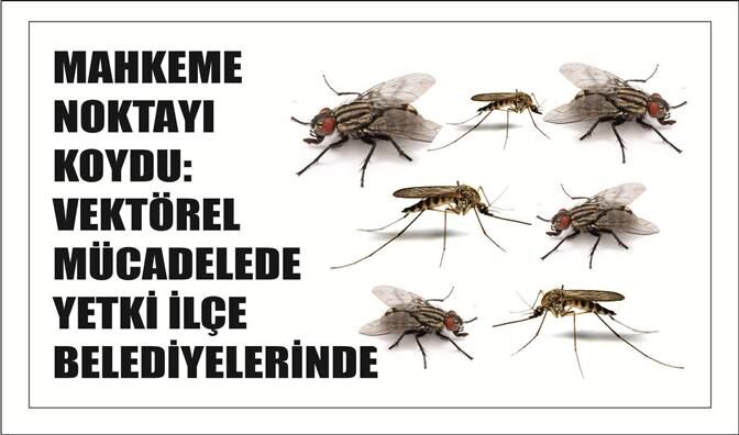 MAHKEME NOKTAYI KOYDU: VEKTÖREL MÜCADELEDE YETKİ İLÇE BELEDİYELERİNDE