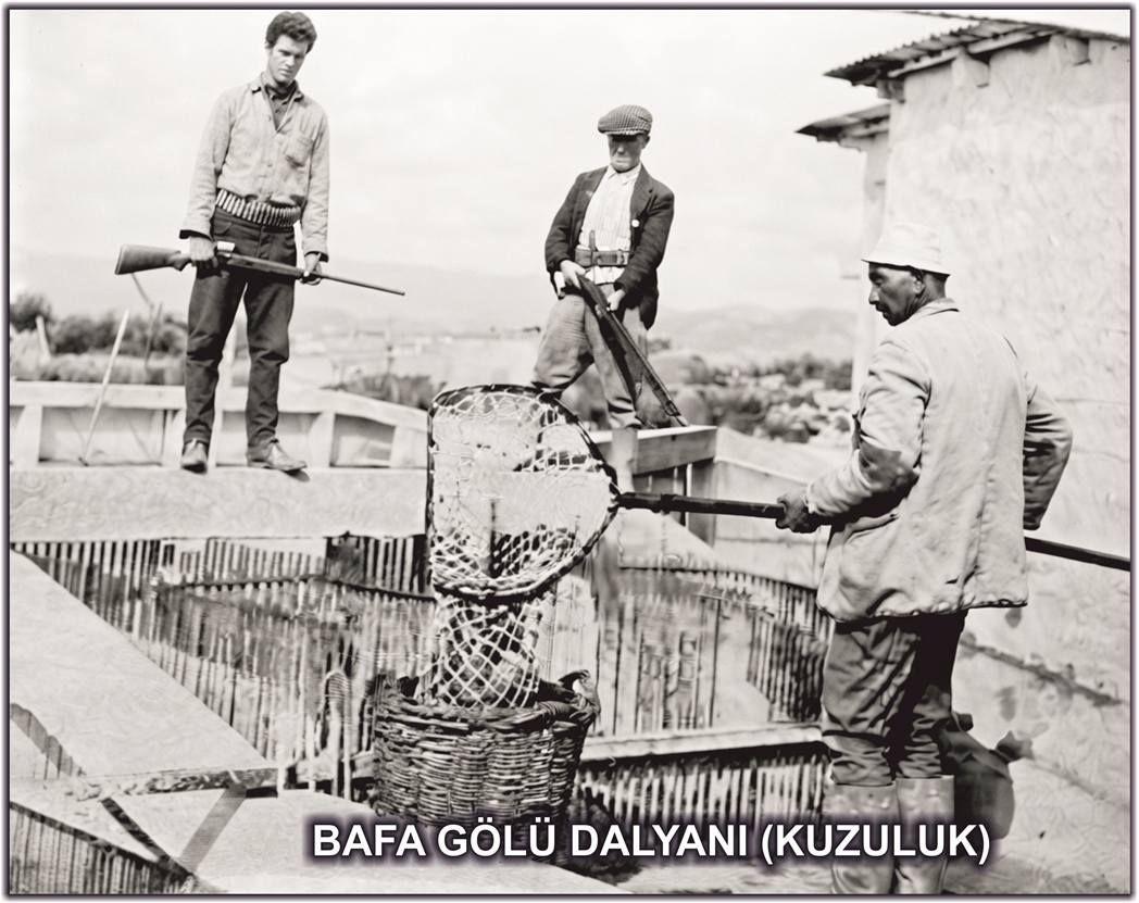 Bafa Gölü 2