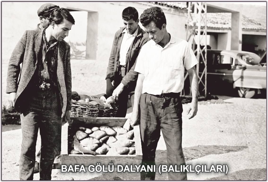 Bafa Gölü 3